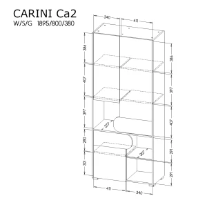 Šatníková skriňa Carini CA2 Nash Dub/biely briliant/grafit
