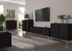 Dvojdverová komoda Sakai 1 2F T822 Čierna