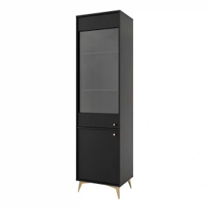 Presklená vitrína Sakai 1 2F T101 Čierna