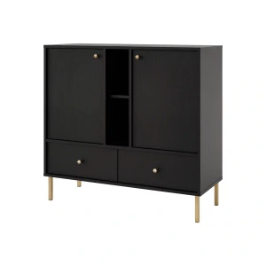 Komoda s dvoma dverami a dvoma zásuvkami Sakai 2 2F 2S T825 Čierna