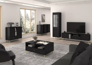 Komoda s dvoma dverami a dvoma zásuvkami Sakai 2 2F 2S T825 Čierna