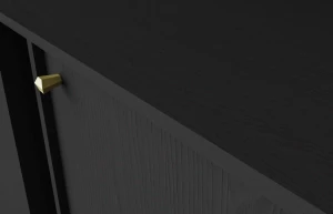 Komoda s dvoma dverami a dvoma zásuvkami Sakai 2 2F 2S T825 Čierna