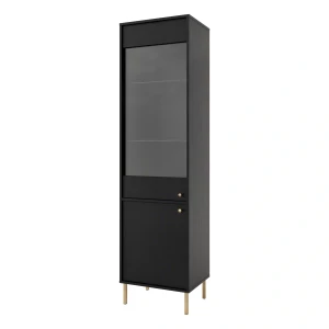 Presklená vitrína Sakai 2 2F T101 Čierna