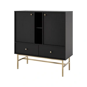 Komoda s dvoma dverami a dvoma zásuvkami Sakai 3 2F 2S T825 Čierna