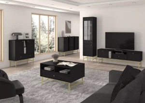 Komoda s dvoma dverami a dvoma zásuvkami Sakai 3 2F 2S T825 Čierna