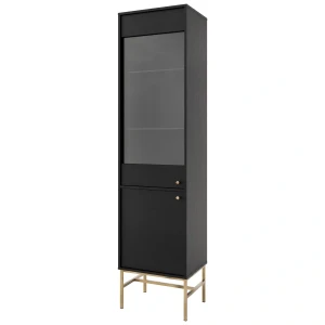 Presklená vitrína Sakai 3 2F T101 Čierna