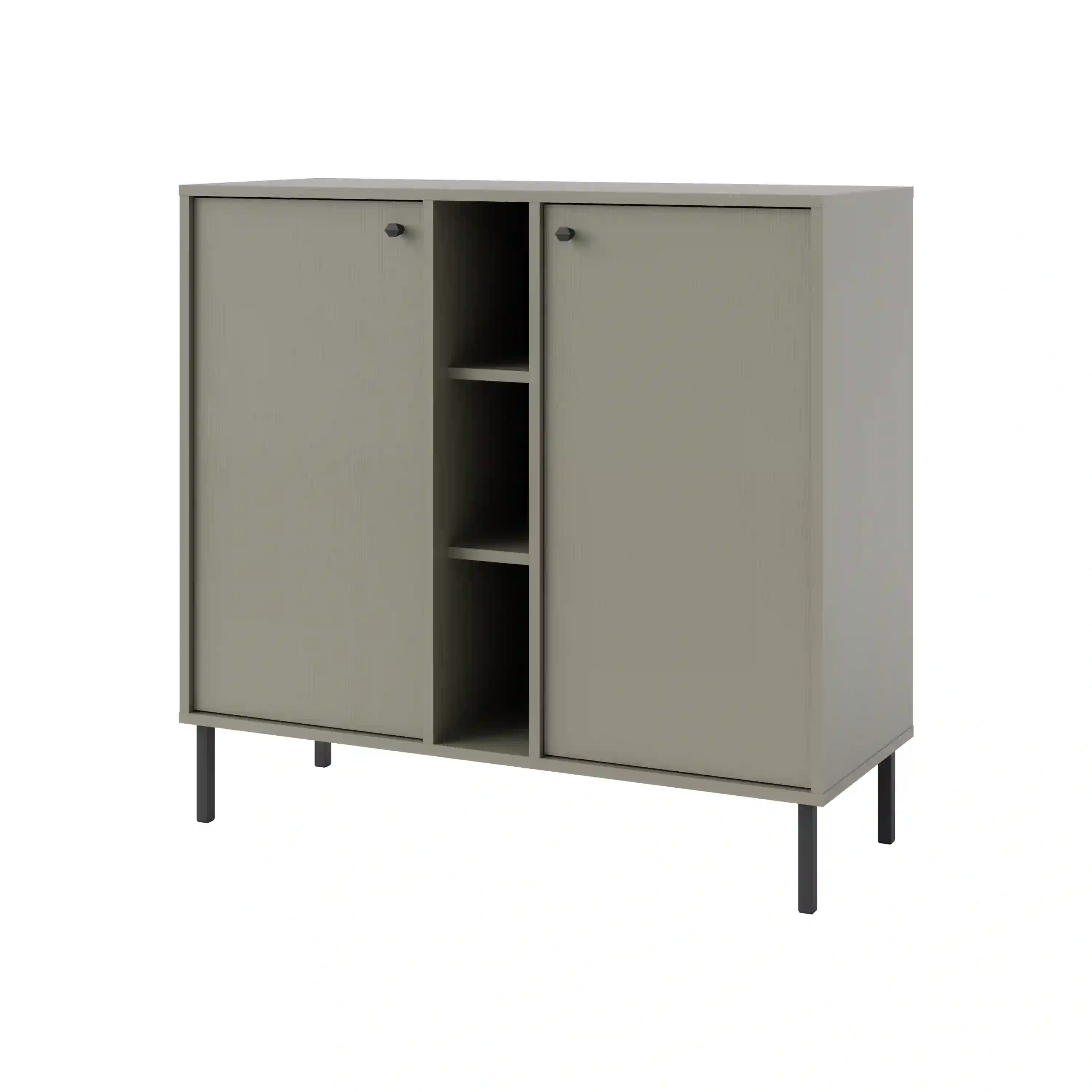 Komoda dwudrzwiowa do salonu Sakai 2F T822 Eukaliptus